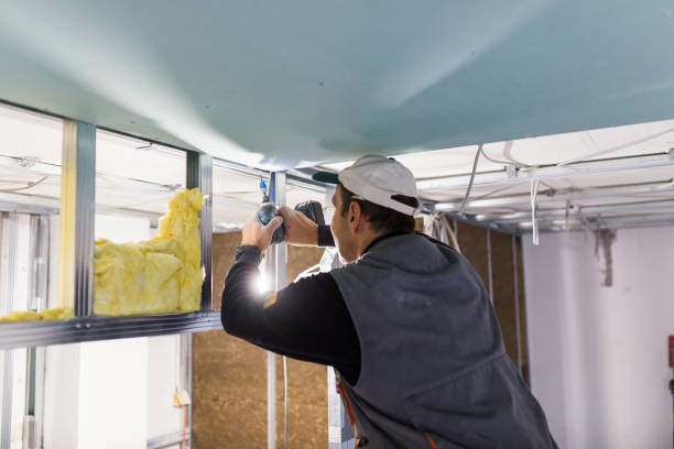 Professional Insulation Contractor in Woods Creek, WA