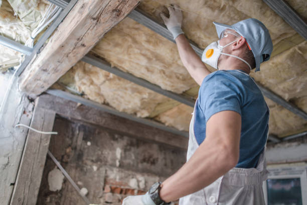 Types of Insulation We Offer in Woods Creek, WA