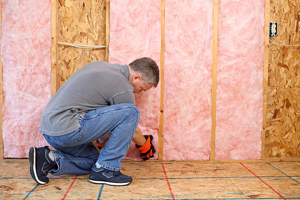 Best Spray Foam Insulation in Woods Creek, WA