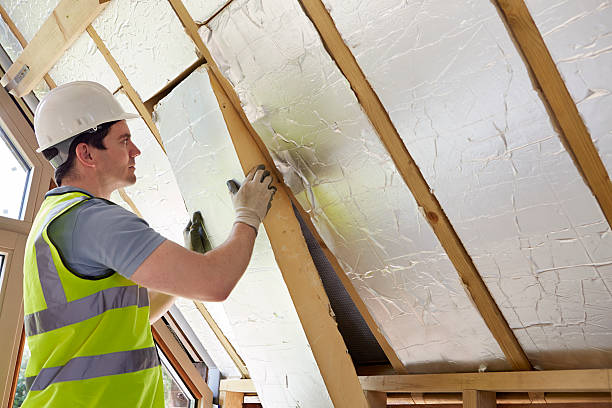 Best Blown-in Insulation in Woods Creek, WA